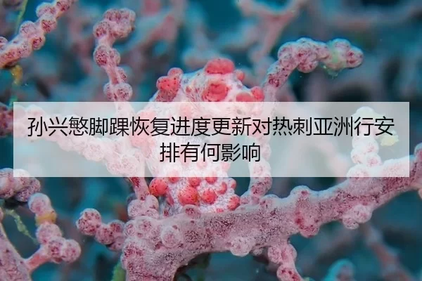 sun-xing-min-jiao-huai-hui-fu-jin-du-geng-xin-dui-re-ci-ya-zhou-xing-an-pai-you-he-ying-xiang-2-652.jpg