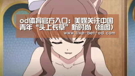 od体育官方入口